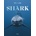 Shark: Portraits