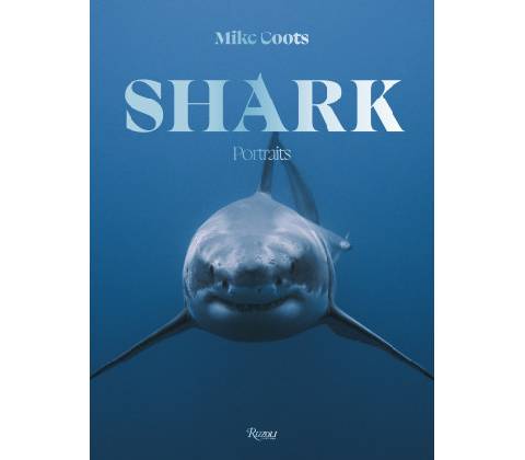 Shark: Portraits