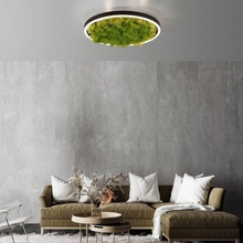 JUST LIGHT 15391-66