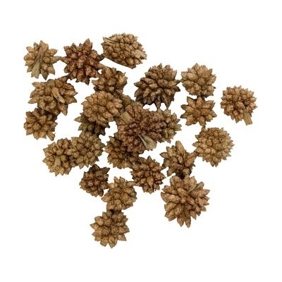 Dekorácie - Star Flower - 12 g