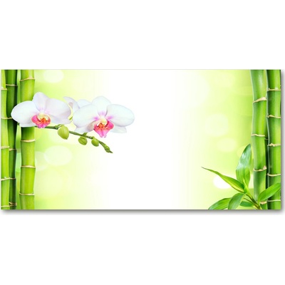 Fotoobraz na skle Orchidea a bambus 100x50 cm