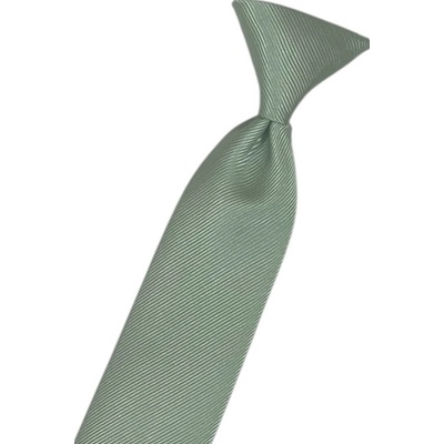 Avantgard Chlapecká kravata 548-22380 zelená – Sleviste.cz