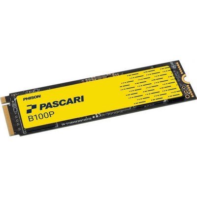 Phison Pascari B100P 960GB, B1802K00960GP011T0200