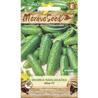 Uhorka nakladačka hruboostná ALOE F1 MoravoSeed