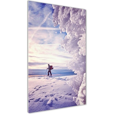 Vertikálny foto obraz sklenený Lyžiar 50x100 cm