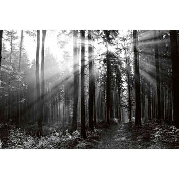 DIMEX ART s. r. o Флизелинов фототапет черно-бяла гора 375 x 250 см