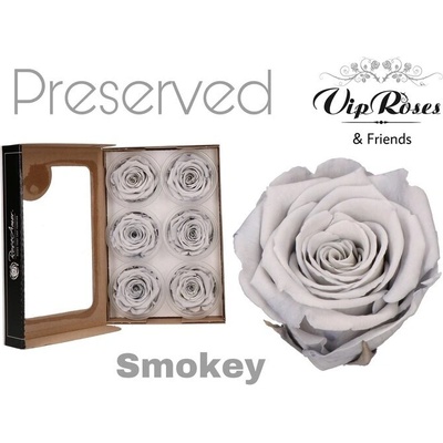 Стабилизирана вечна роза VIP Smokey