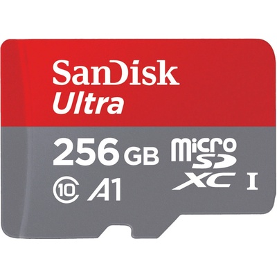 SanDisk SDHC Class 10 256GB SDSQUAC-256G-GN6MA