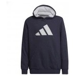 Adidas Future Icons 3-Stripes (HE1929) Юношески Суичър