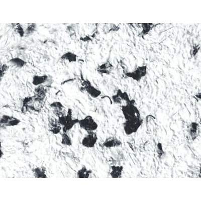 SILKCOAT ТЕЧЕН ТАПЕТ prestige silkcoat 0.750кг 123 (7123)