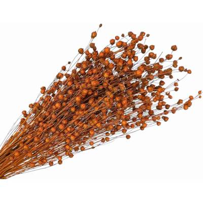 Sušený ľan - kytica cca 100g - tmavý oranžový