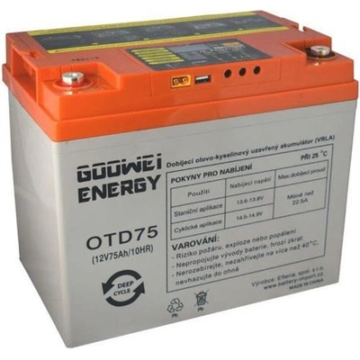 Goowei Energy OTD75 75 Ah 12V 115Wp