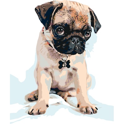 ZUTY Malování podle čísel ROZTOMILÝ MOPSÍK 40 x 50 cm