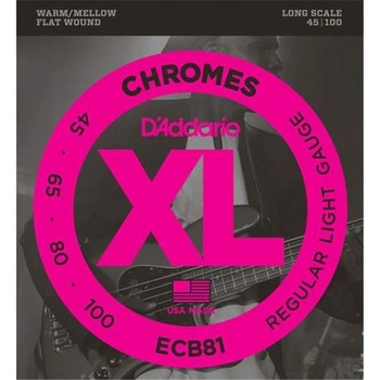 D'addario ECB81