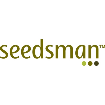 SEEDSMAN Purple Ghost Candy semena neobsahují THC 5 ks – Zboží Mobilmania