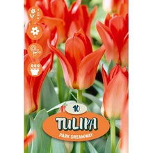 Tulipány ""Oriental Beauty"" červené