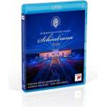 Sony Music Nelsons Andris & Wiener Philharmoniker: Sommernachtskonzert 2024 / Summer Night Concert 2024 - Blu-ray (075175)