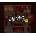 Invasion: Brain Craving