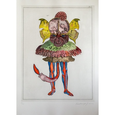 Jan Švankmajer, Z cyklu Přírodopis Tabulka č. 9