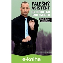 Falešný asistent na křídlech parlamentu