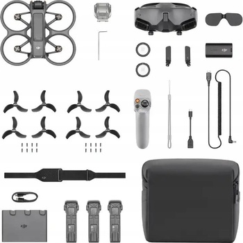 DJI Avata 2 Pro-View Combo (CP.FP.00000227.01)