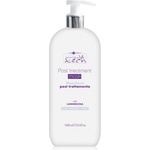 Hair Company Professional Inimitable Tech Post Treatment mask 1 l