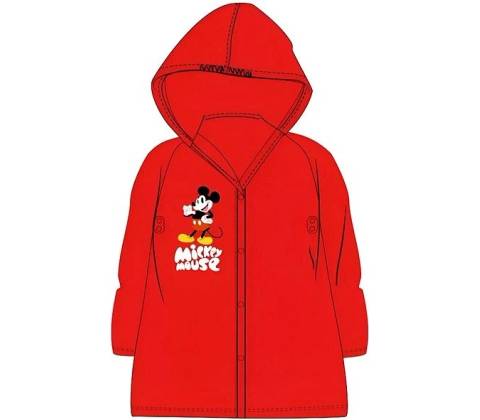 DISNEY Mickey mouse