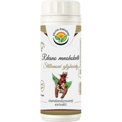 Salvia Paradise Rdesno standardizovaný extrakt 60 kapslí