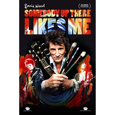 Ronnie Wood: Somebody Up There Likes Me BD
