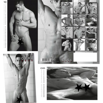 Real Cocks 2025 – Zbozi.Blesk.cz