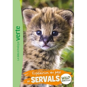 Wild Immersion, Tome 25 - Expédition au pays des servals | Hachette Livre (2026)