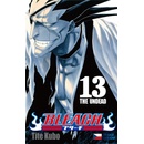 Bleach 13