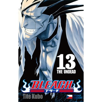 Bleach 13