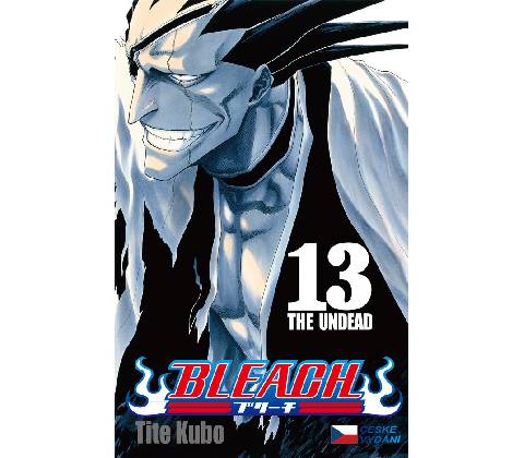 Bleach 13