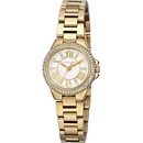 Michael Kors MK3252
