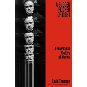 A Sudden Flicker of Light (ISBN: 9781668205730)