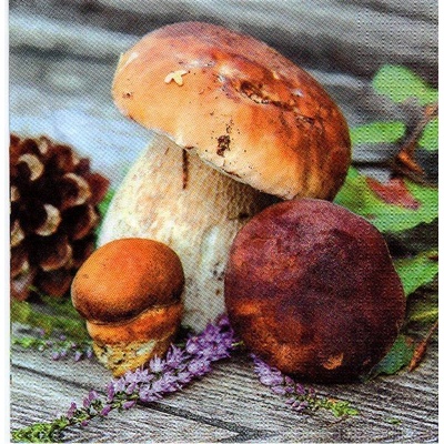 Ubrousek 33x33 HOUBY – Zbozi.Blesk.cz