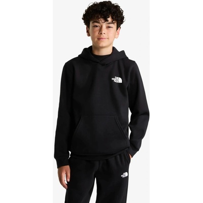 The North Face Evolution Box NSE Pullover Hoodie tnf black