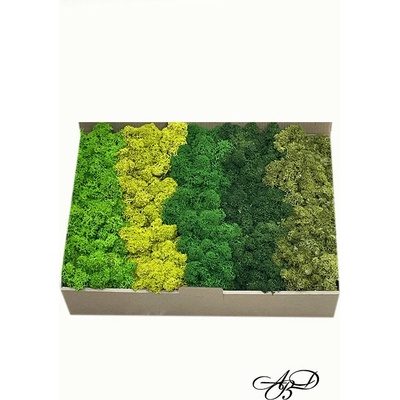 Art Design Beni Премиум скандинавски мъх 0.500кг-5 цвята (25-26-27-28-29)