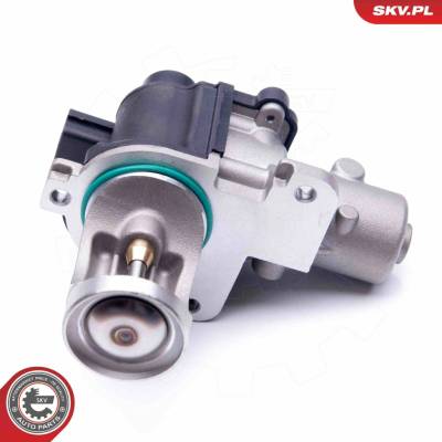 AGR-Ventil ESEN SKV 14SKV172