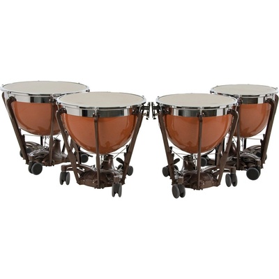 Adams PROFESSIONAL 2PAPRIIFI 20