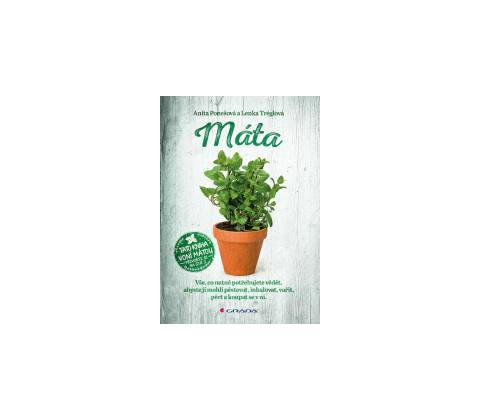 Máta
