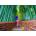 Enjoy - Puzzle Asian Woman in Bamboo Forest - 1 000 piese