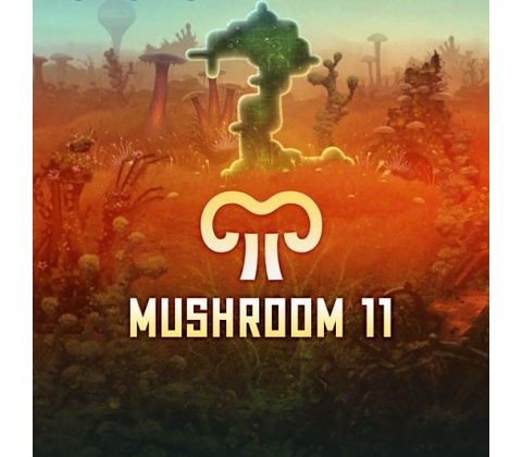 Mushroom 11