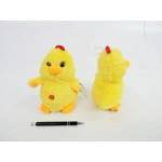 SUN-DAY Chicken with gloss