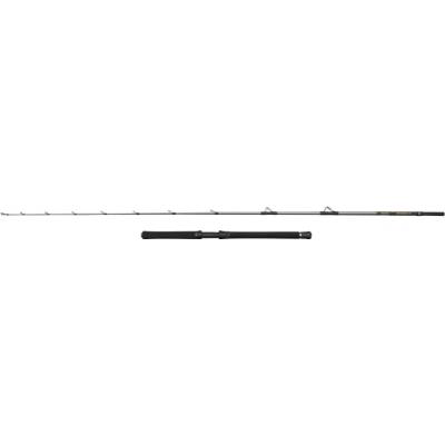 Penn Regiment IV Halibuster 2,40 m 30-50 lb 2 díly
