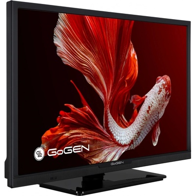 GoGEN TVH 24P352T