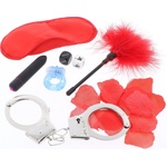 Toy Joy The Naughty Birthday Kit