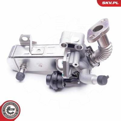 AGR - Ventil ESEN SKV 14SKV135