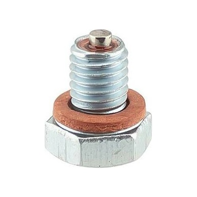 Výpustný šroub oleje s magnetem (dva rozměry) Velikost: M8